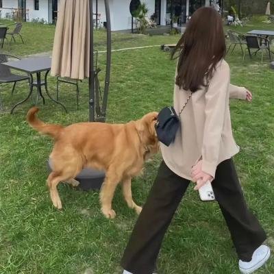 还我本色